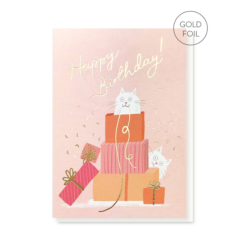 Purfect Presents birthday card by Stormy Knight
