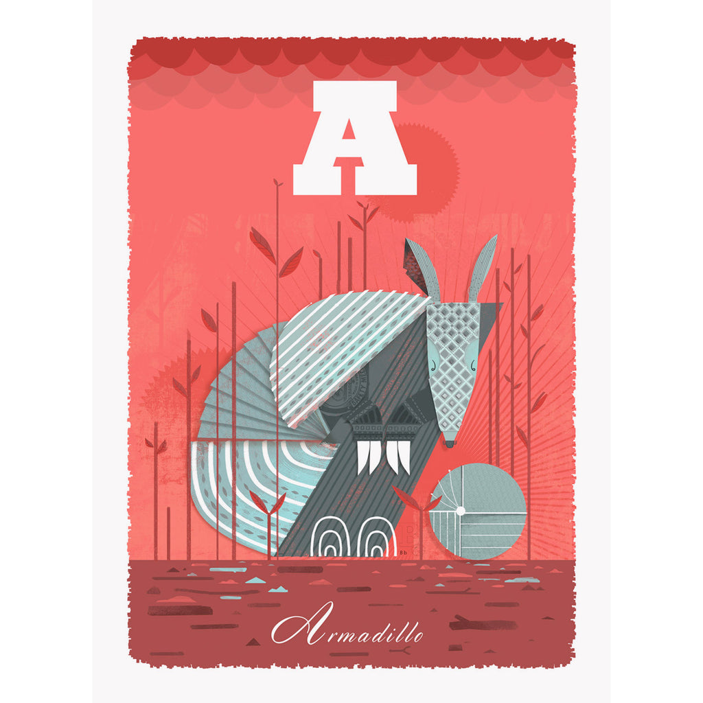 Armadillo print by Graham Carter
