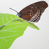 Butterfly print by Fiona Hamilton