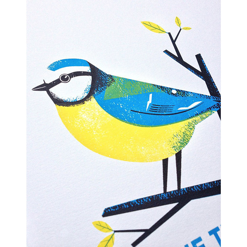 Blue Tit Print