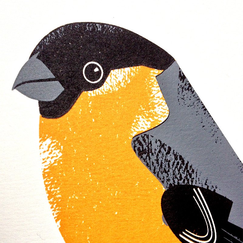 Bullfinch Print