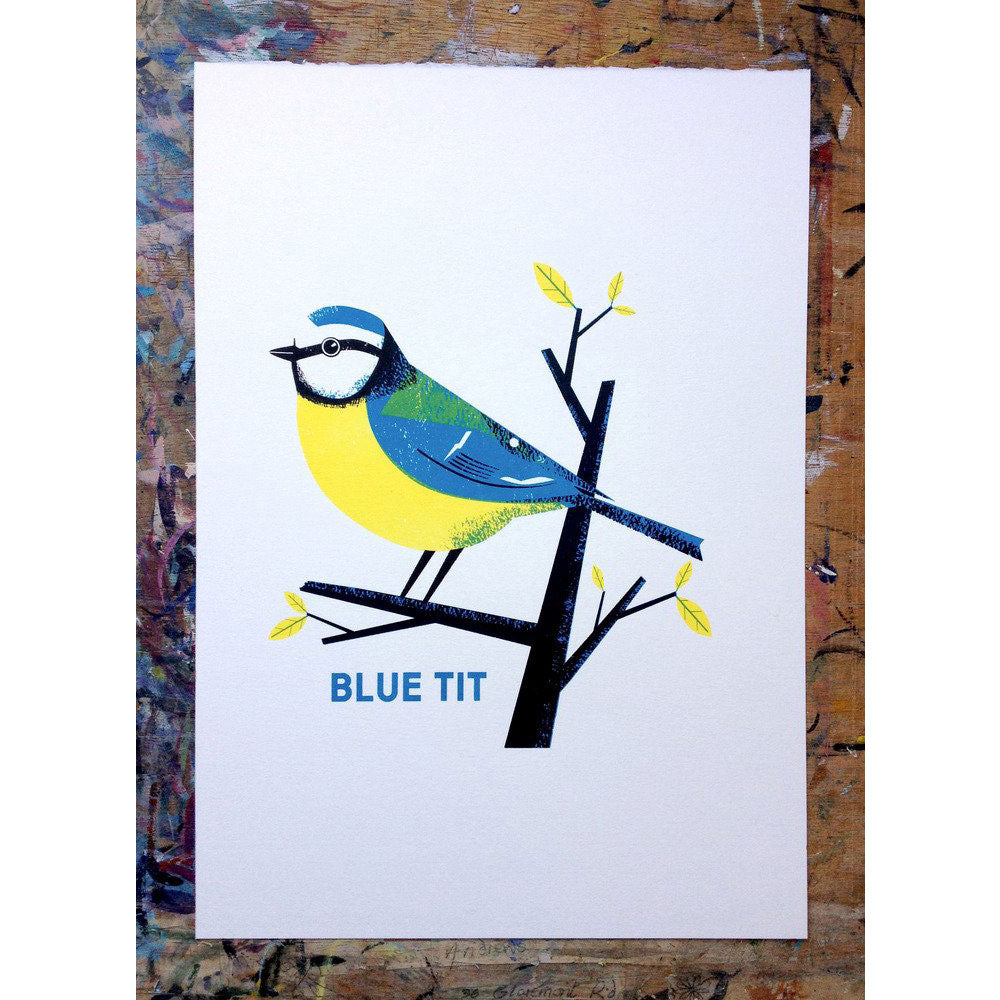 Blue Tit Print