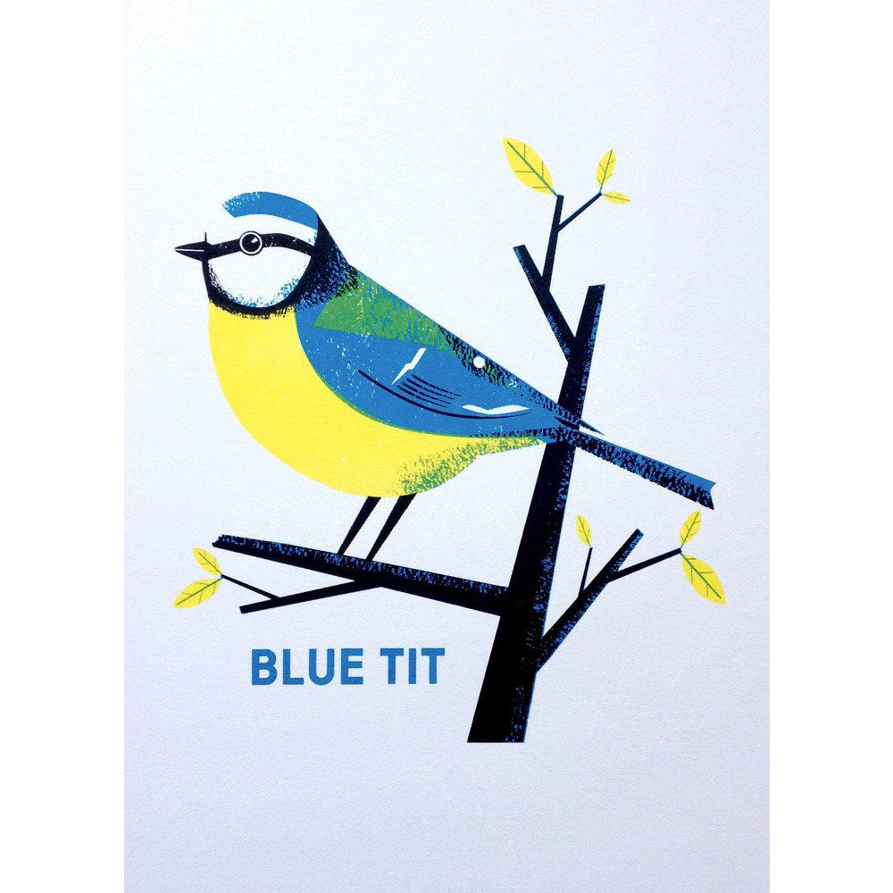 Blue Tit Print