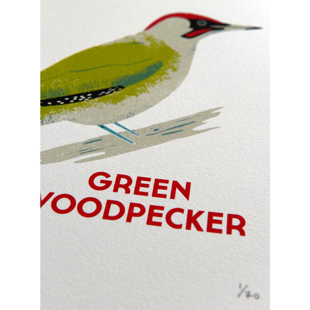Green Woodpecker Print