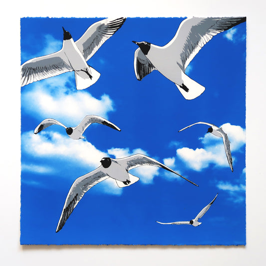 Colony of Black Headed Gulls against a blue cloudy sky original screenprint by Fiona Hamilton.