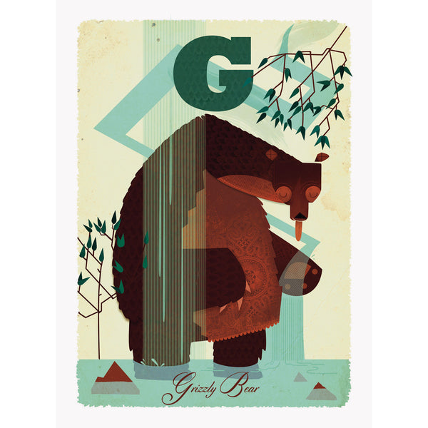 Grizzly bear print by Graham Carter