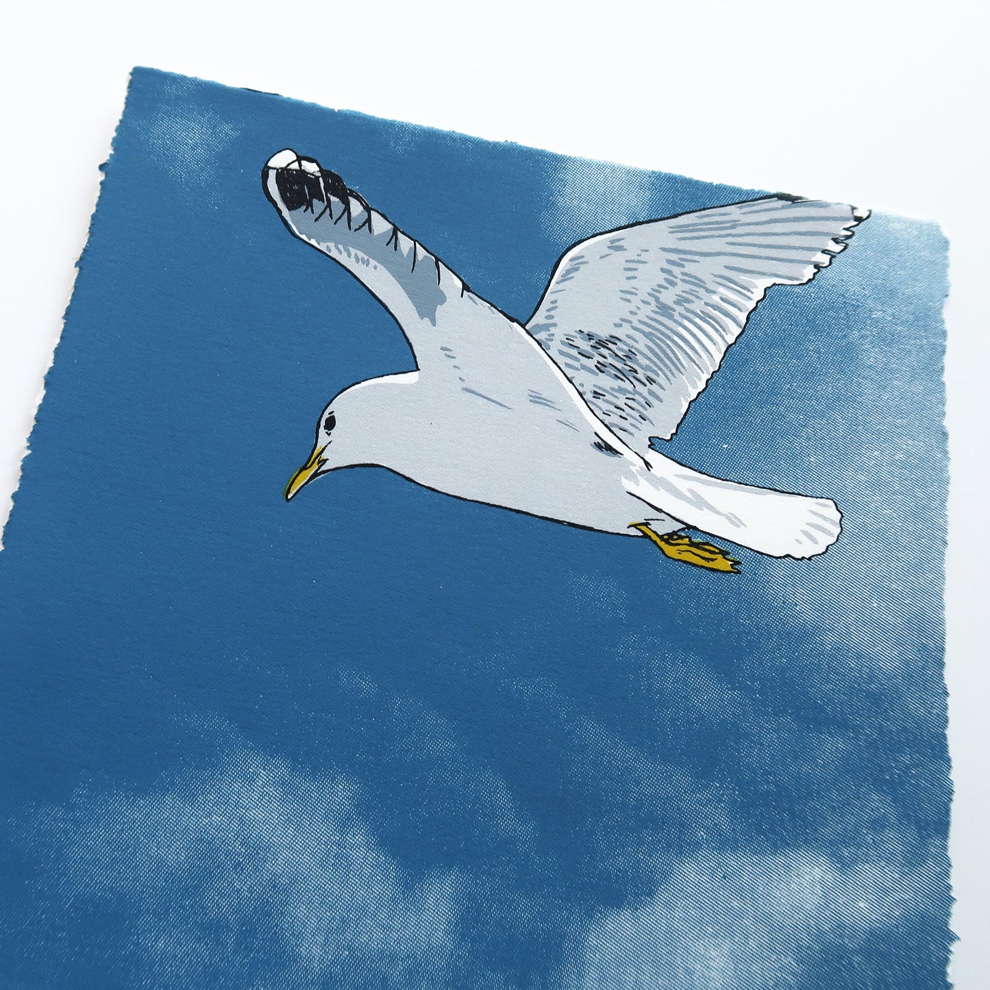 Flying Gull III Blue Print