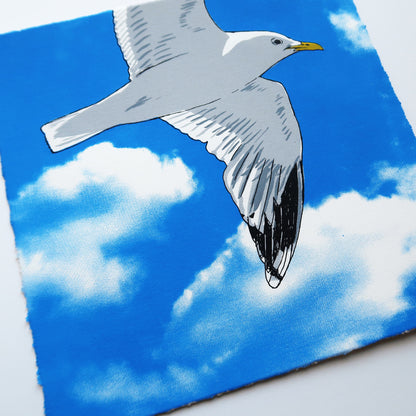 Flying Gull V Blue Print