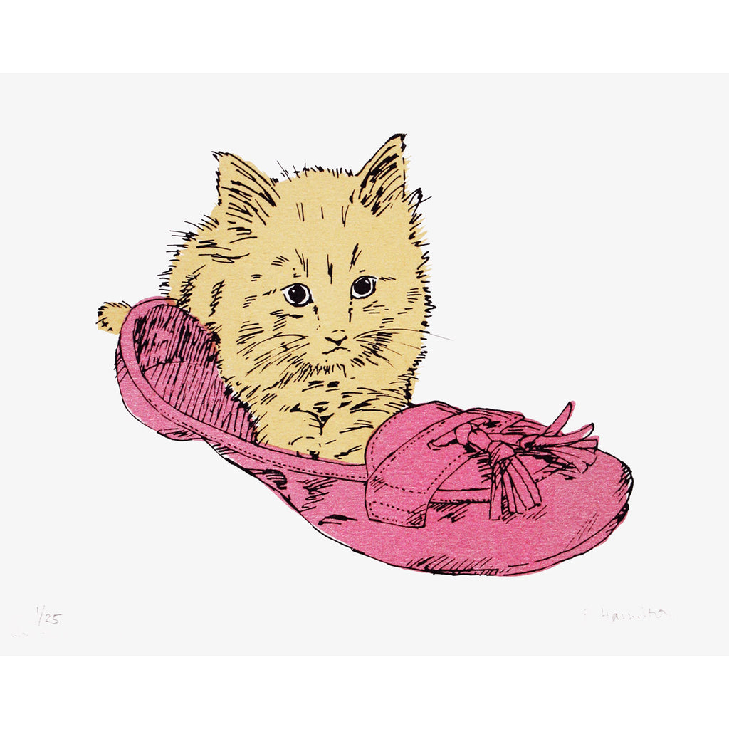 Kitten in Shoe print by Fiona Hamilton