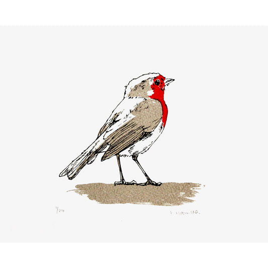 Robin print by Fiona Hamilton