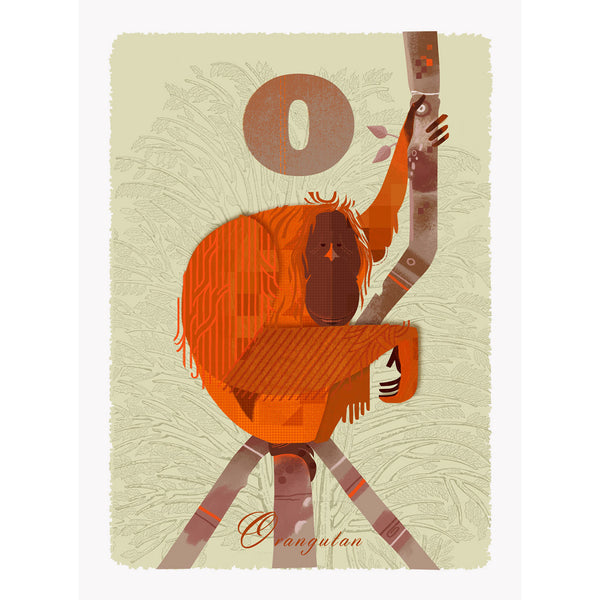 Orangutan print by Graham Carter