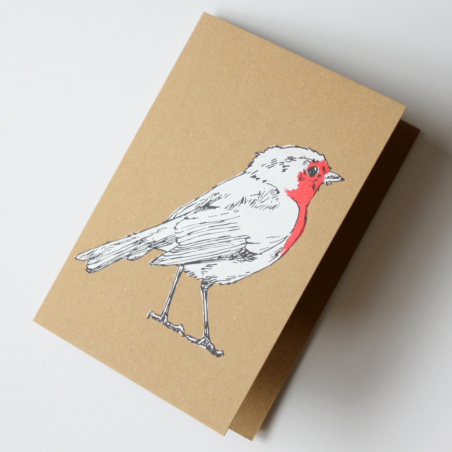Robin Kraft Christmas Card