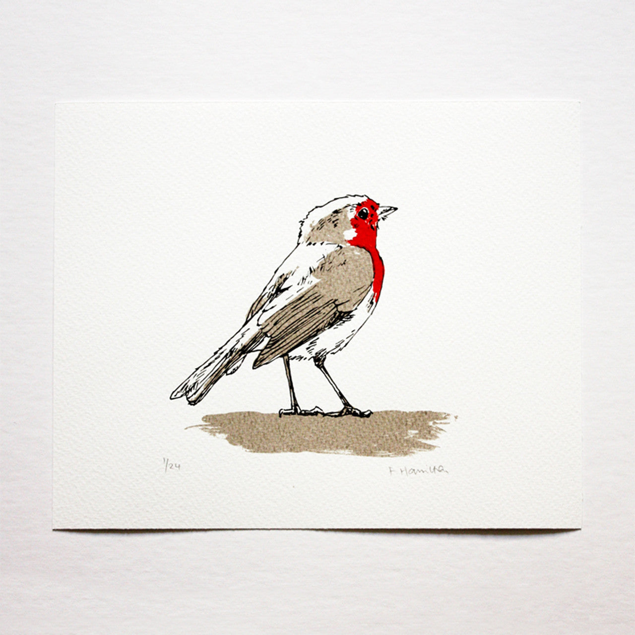 Robin print by Fiona Hamilton