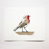 Robin print by Fiona Hamilton