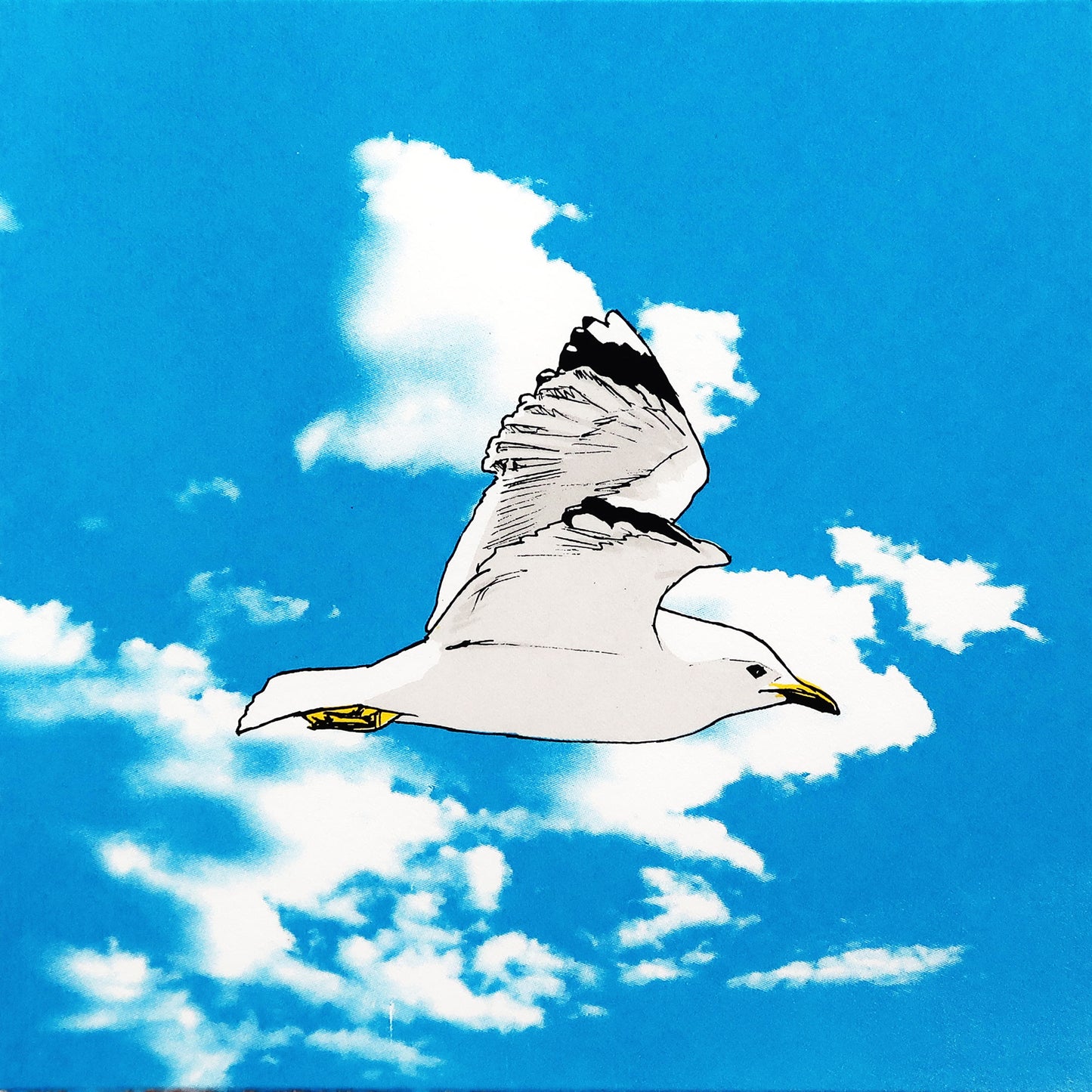 Seagull in Flight Print