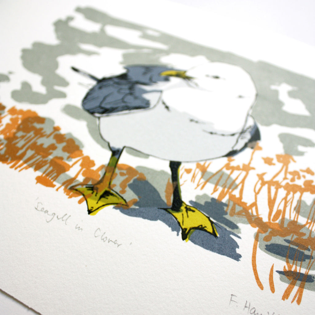 Seagull in Clover print by Fiona Hamilton