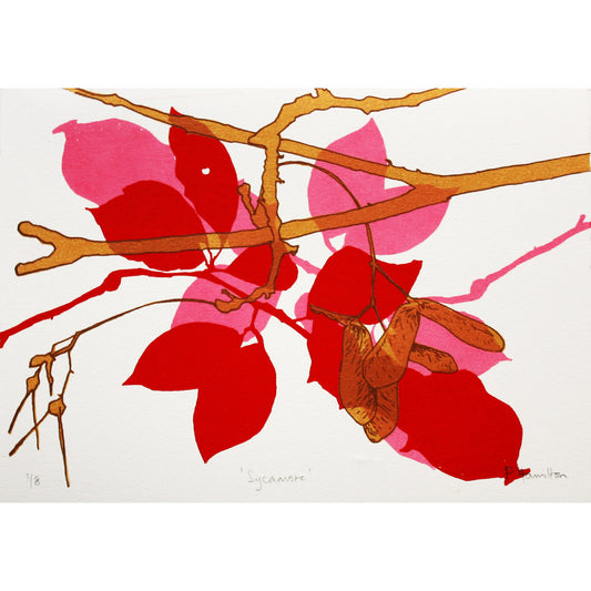 Sycamore Red print by Fiona Hamilton