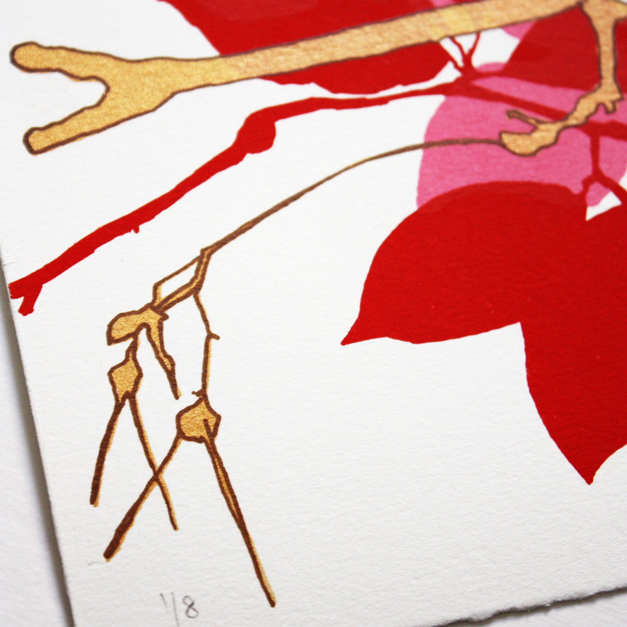 Sycamore Red print by Fiona Hamilton