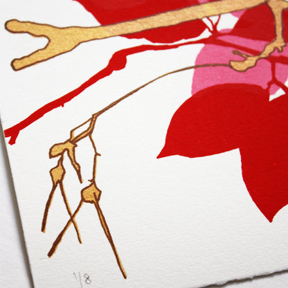 Sycamore Red print by Fiona Hamilton