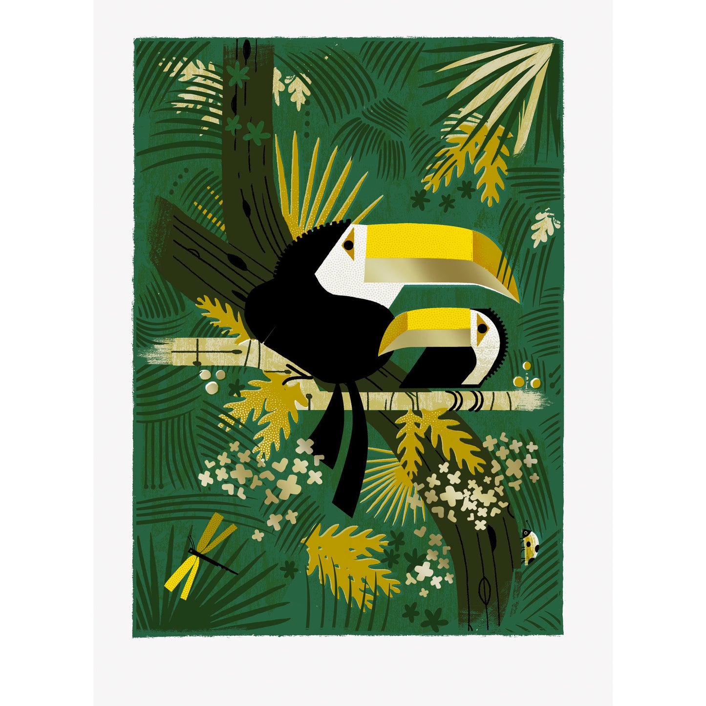 Two Toucans Print