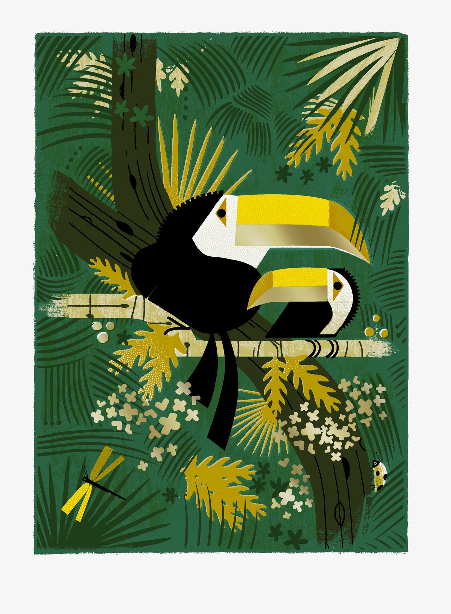Two Toucans Print