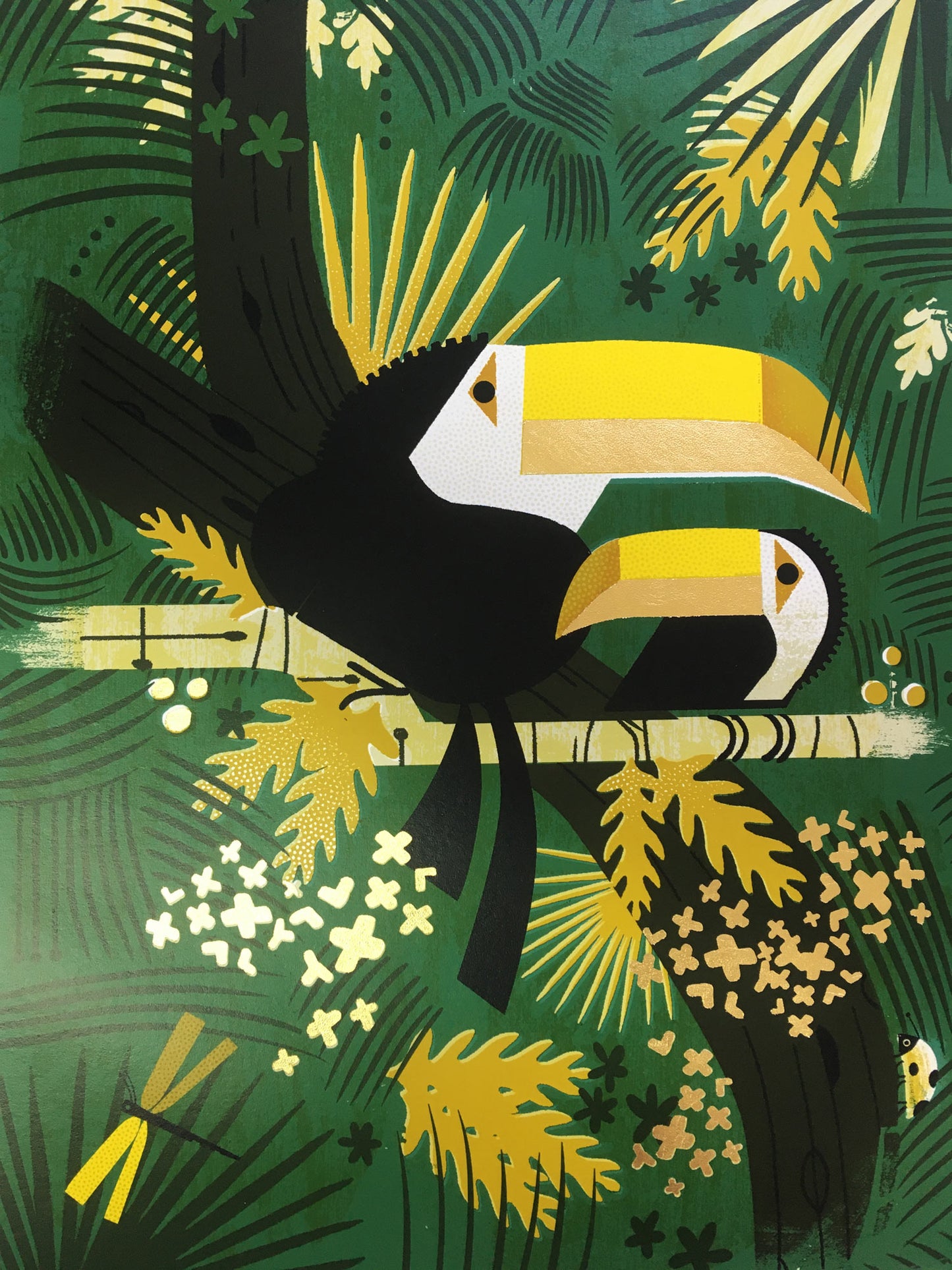 Two Toucans Print