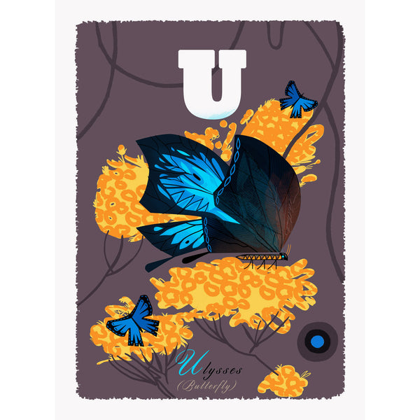 Ulysses Butterfly print by Graham Carter